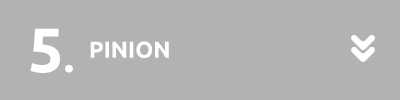 Pinion