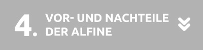 Alfine Naben-Schaltung Sprungmarke 4 Vor- und Nachteile der Alfine