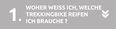 Welche Trekkingbereifung