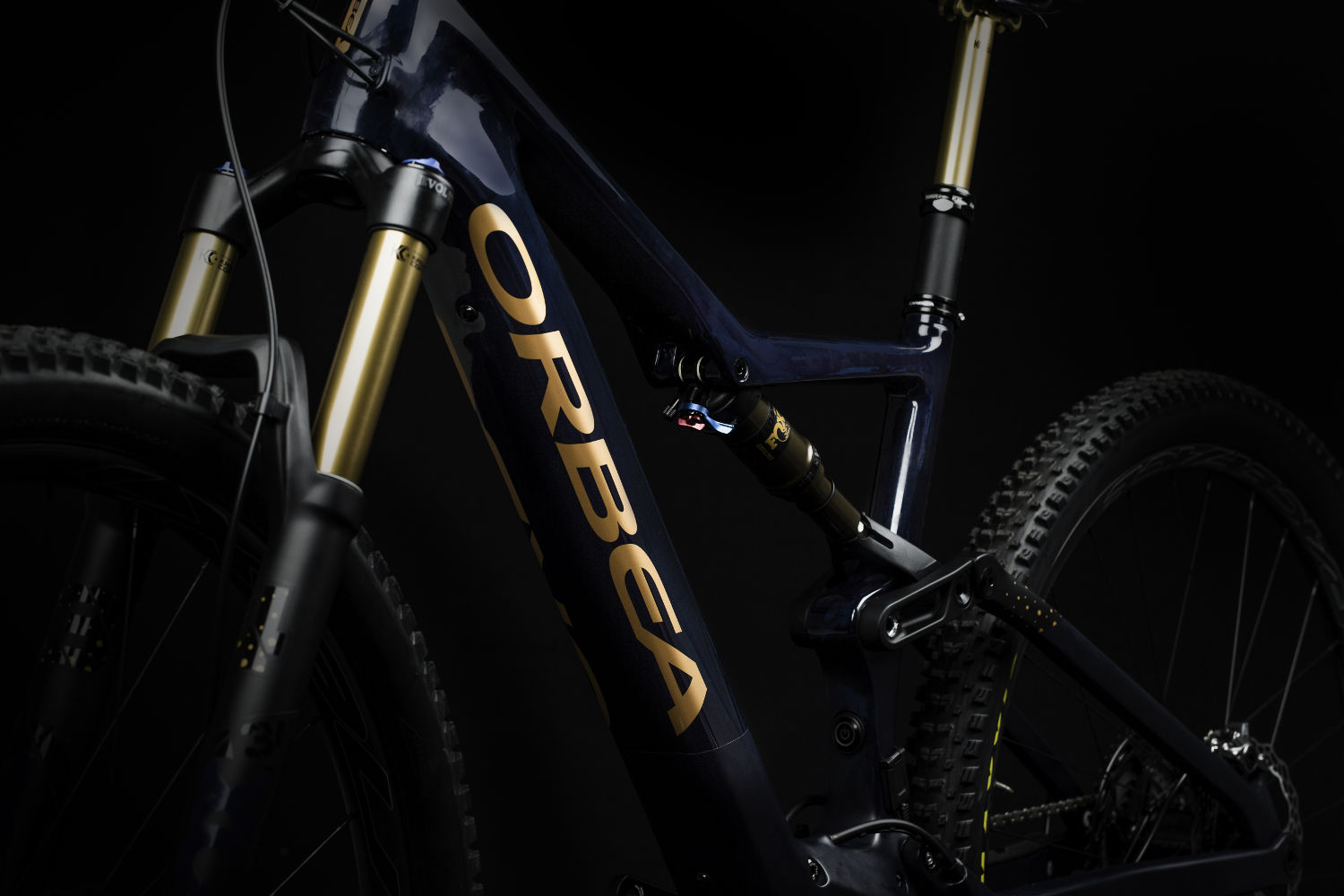 Orbea Rise M-LTD Rahmen