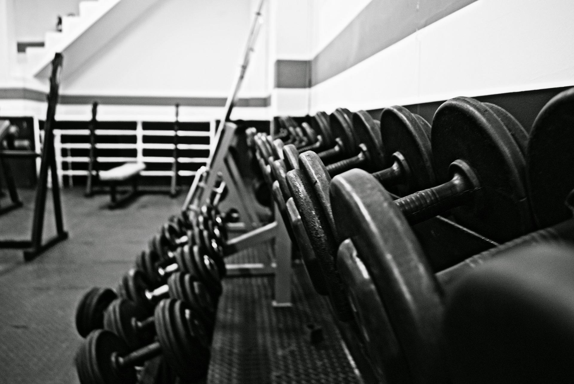 Training im Fitnessstudio Training im Fitnessstudio