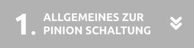 Pinion Schaltung