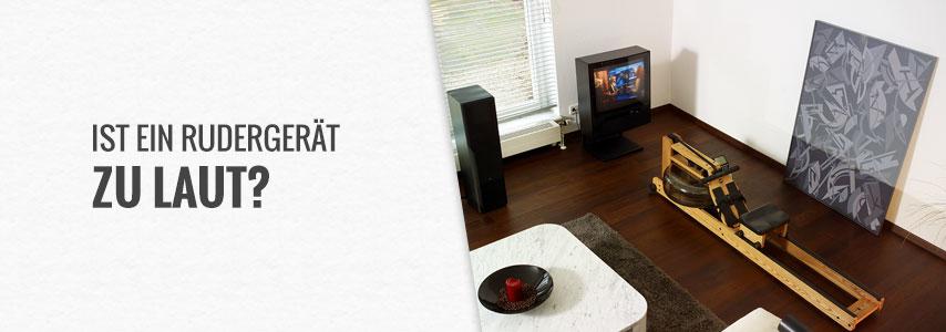 Rudergerät zu laut?