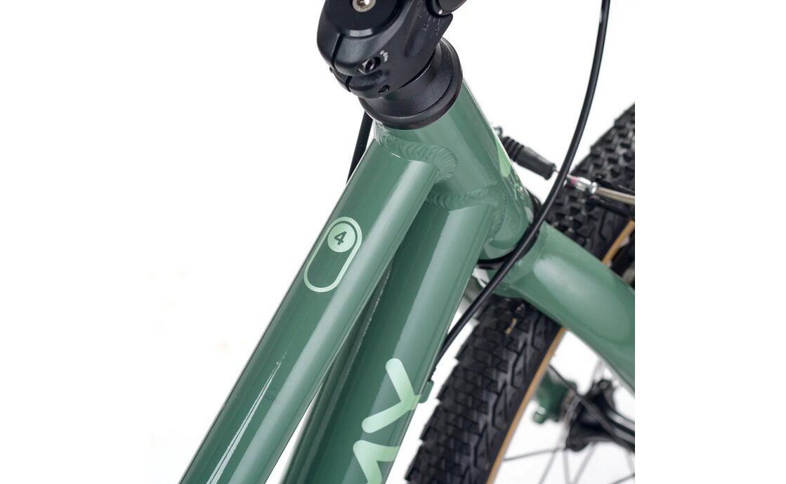 Academy Grade 4 - 20 Zoll - Diamant - 2026