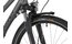 Carver Tour 110 - 28 Zoll - Tiefeinsteiger - 2024