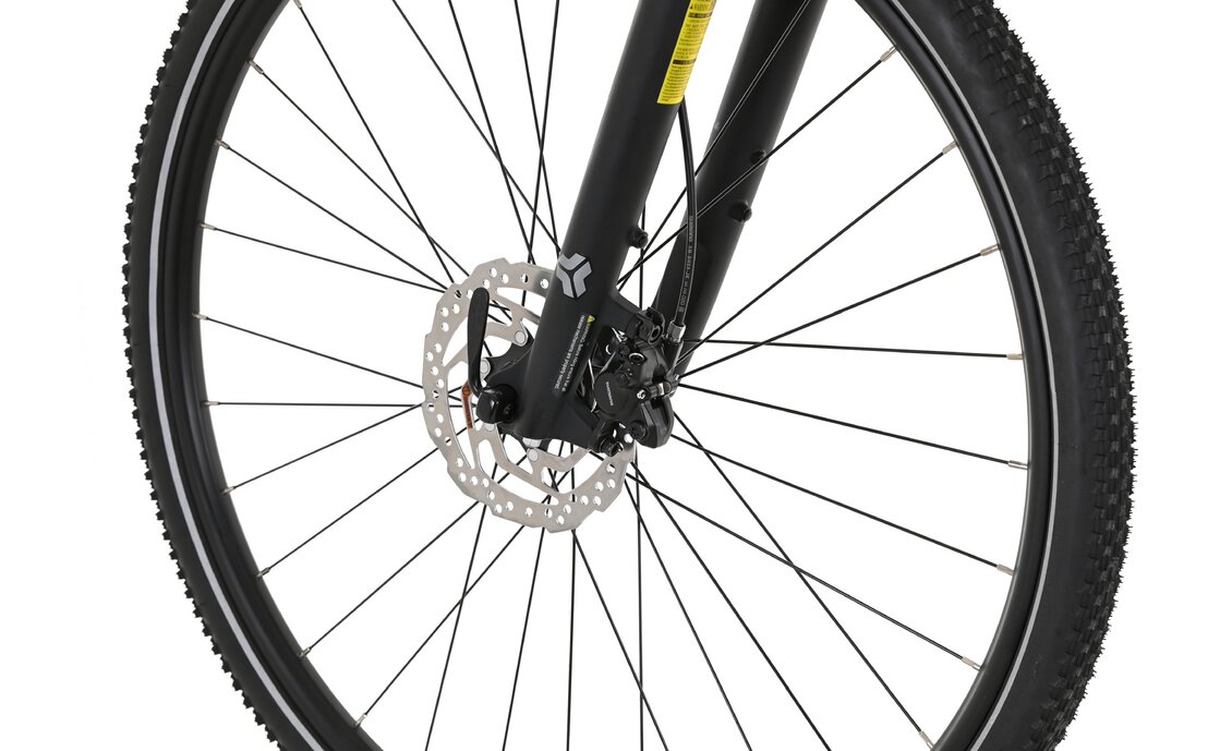 Carver Cinos 120 - 28 Zoll - Diamant - 2024