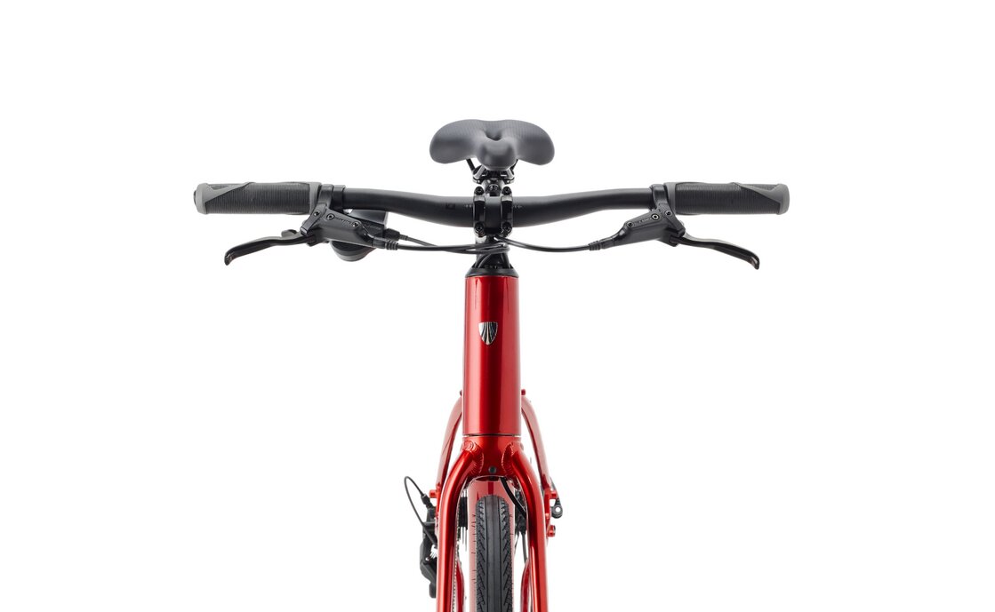 Trek FX 2 Stepover Gen 4 - 28 Zoll - Diamant - 2026
