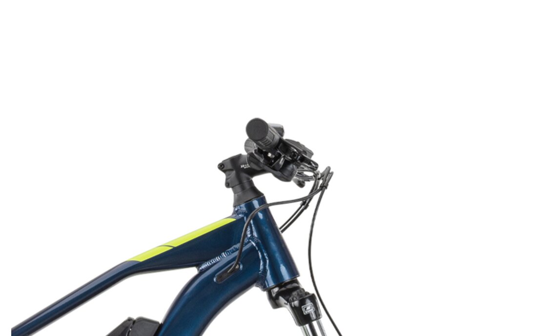 Raymon HardRay E 1.0 - 400 Wh - 29 Zoll - Diamant
