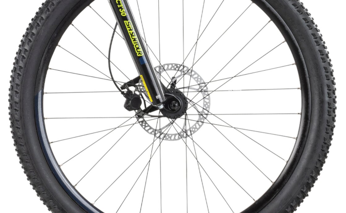 Raymon HardRay E 1.0 - 400 Wh - 29 Zoll - Diamant