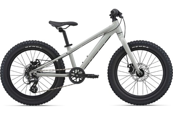 Kindermountainbikes - Giant STP 20 - 2023 - 20 Zoll - Diamant