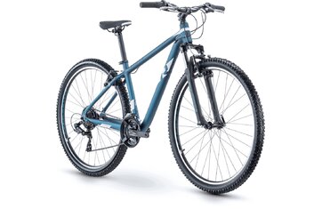 Hardtail - Raymon NineRay 1.0 - 2021 - 29 Zoll - Diamant