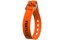 FIXPLUS Strap Gummizurrband, 35x2.3 cm