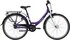 purple-glossy