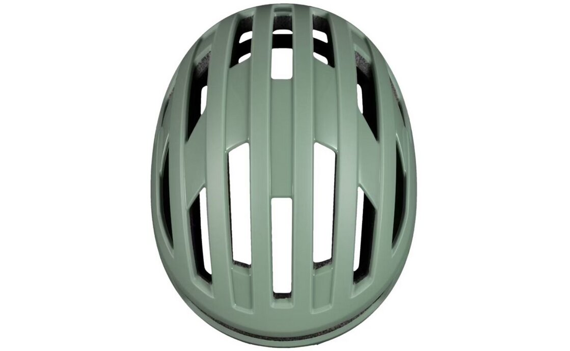 SWEETPROTE Fluxer MIPS
