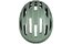 SWEETPROTE Fluxer MIPS