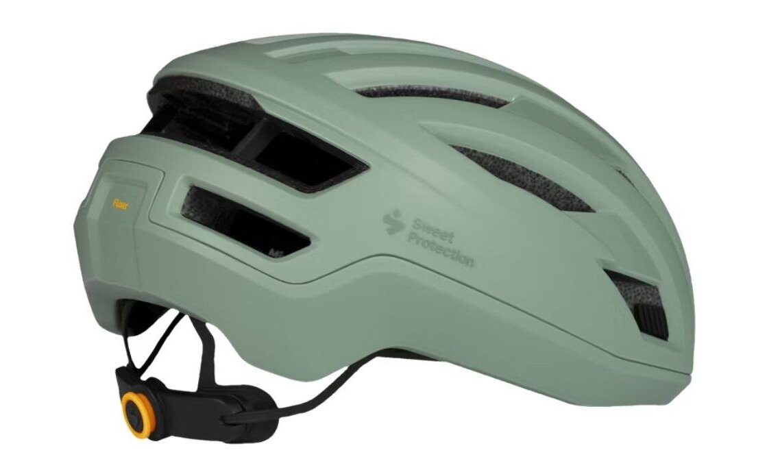 SWEETPROTE Fluxer MIPS