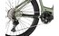 Carver Strict E.560 - B-Ware - 750 Wh - 29 Zoll - Diamant