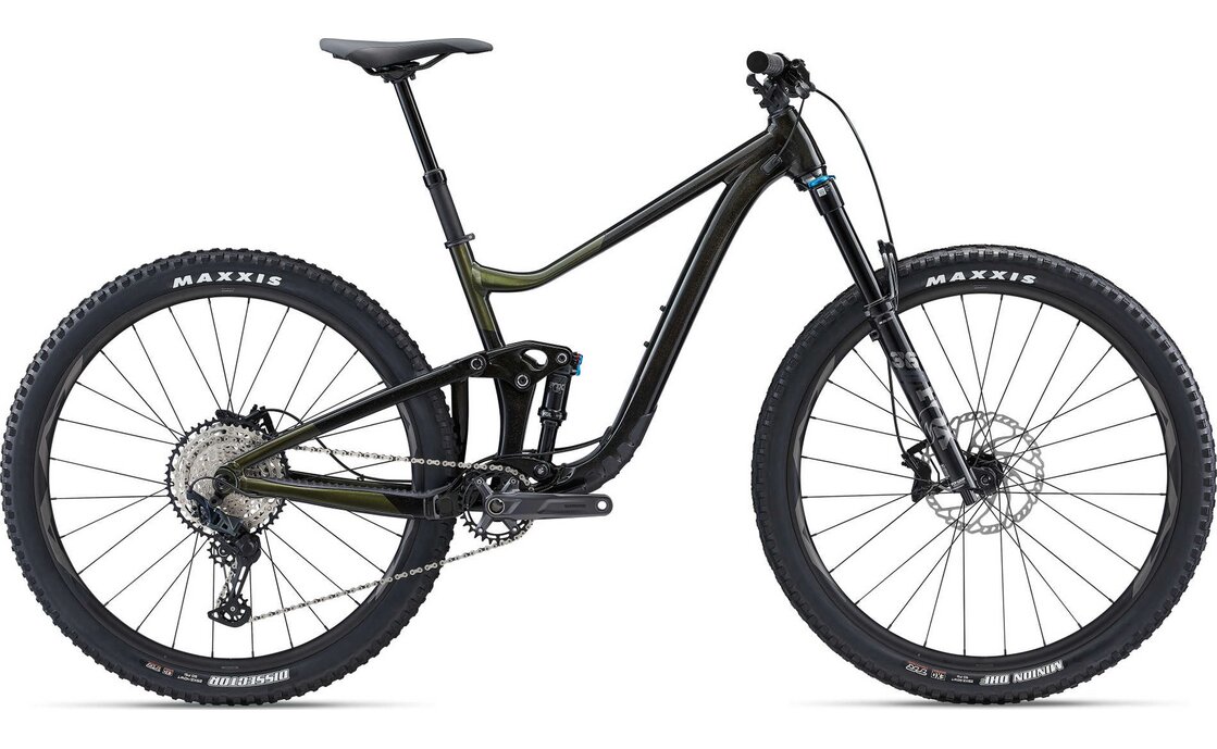 Giant Trance X 1 - 29 Zoll - Fully - Aktion