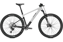 Focus Raven 8.8 - 29 Zoll - Diamant - 2025