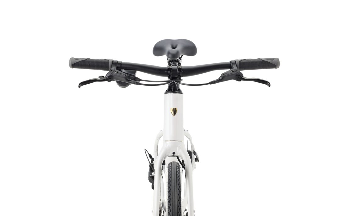 Trek FX 2 Midstep Gen 4 - 28 Zoll - Trapez - 2027