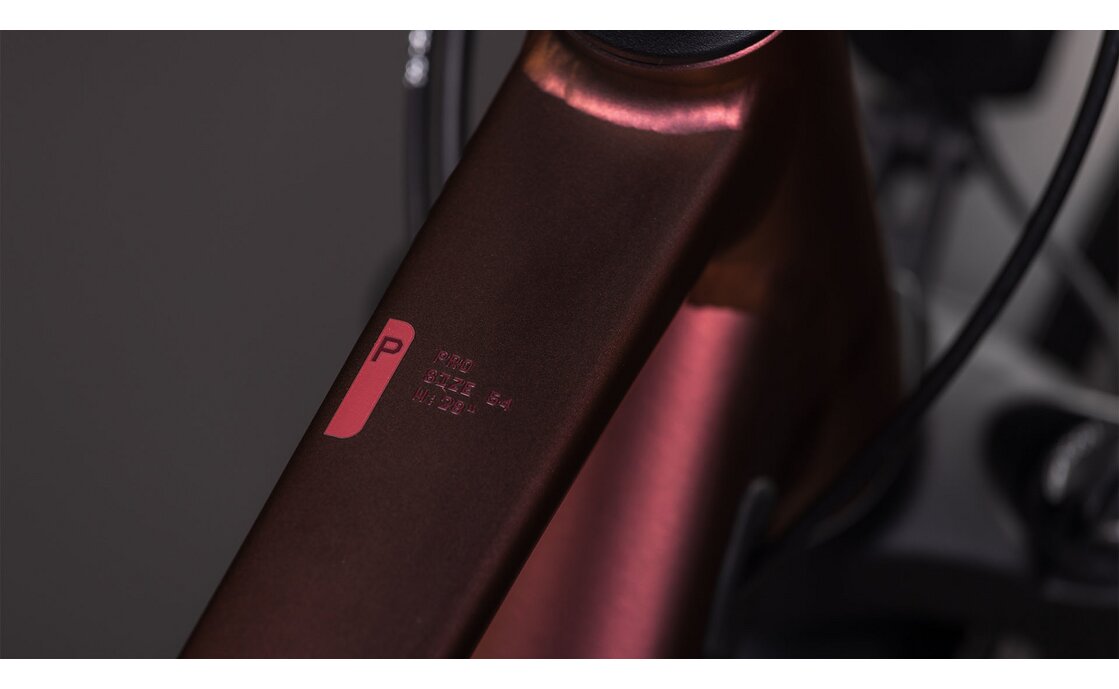 Cube Kathmandu Pro - 28 Zoll - Diamant - 2026