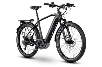 2019 - E-Bike Trekking - Raymon eTourray LTD 1.0 - 500 Wh - 2019 - Diamant