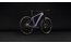 Cube Reaction C:62 Pro - 29 Zoll - Diamant - 2027