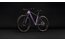 Cube Reaction C:62 Pro - 29 Zoll - Diamant - 2027