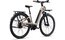 Liv Allure E+ 1 Gen2 - 430 Wh - 28 Zoll - Tiefeinsteiger - 2026