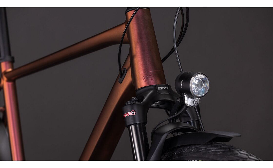 Cube Kathmandu Pro - 28 Zoll - Diamant - 2026