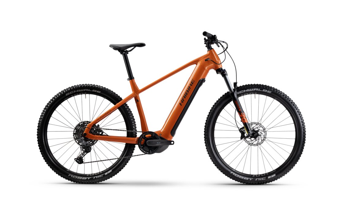 Haibike Alltrack 6 29 - 720 Wh - 29 Zoll - Diamant