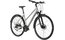 Carver Cinos Street 110 - B-Ware - 28 Zoll - Damen Sport - 2024