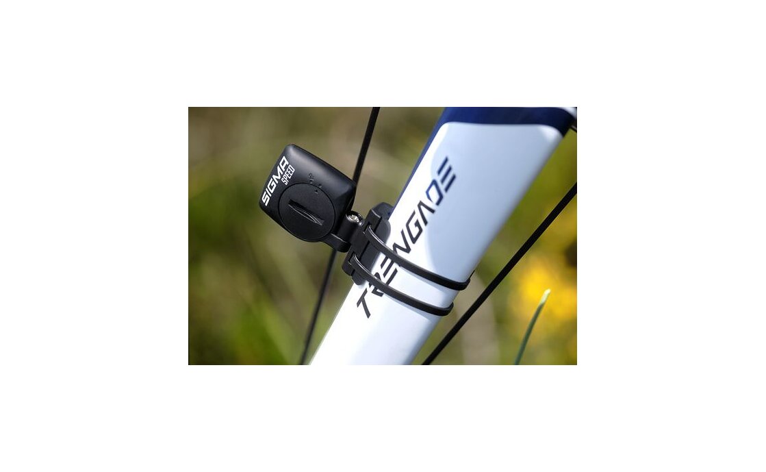 Sigma BC 14.0 WL STS