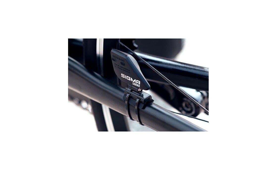 Sigma BC 14.0 WL STS