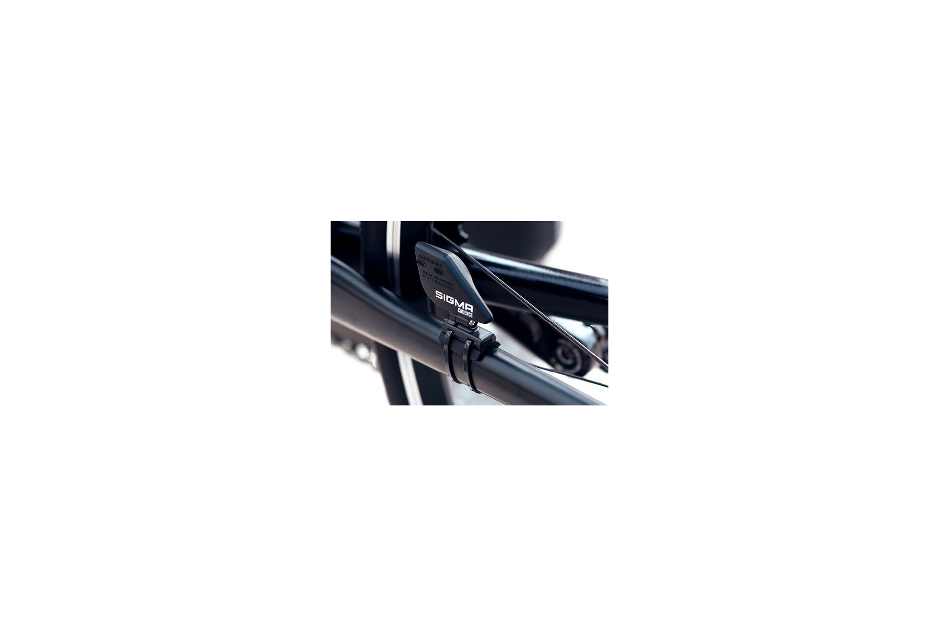 Sigma BC 14.0 WL STS
