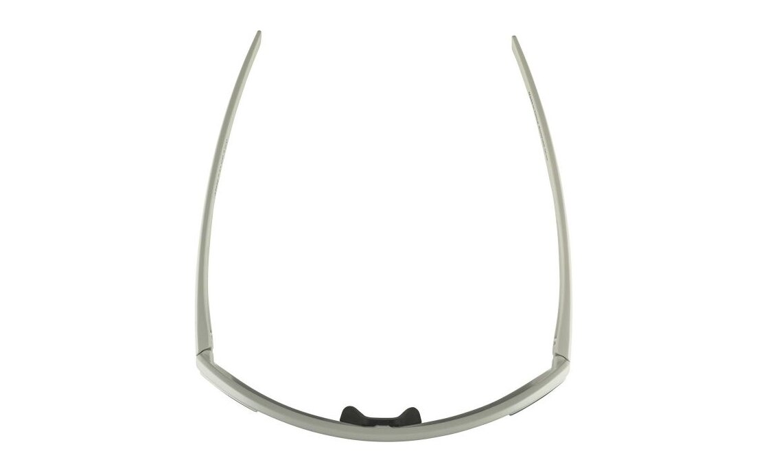 Alpina Bonfire Q-Lite cool-grey matt / silver mirror lens