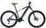 Carver Strict E.410 - 500 Wh - 29 Zoll - Diamant