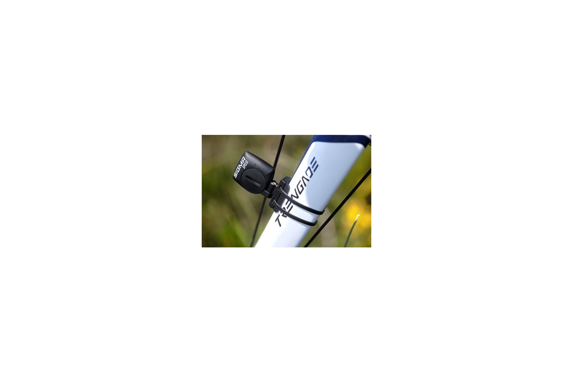 Sigma BC 14.0 WL STS CAD