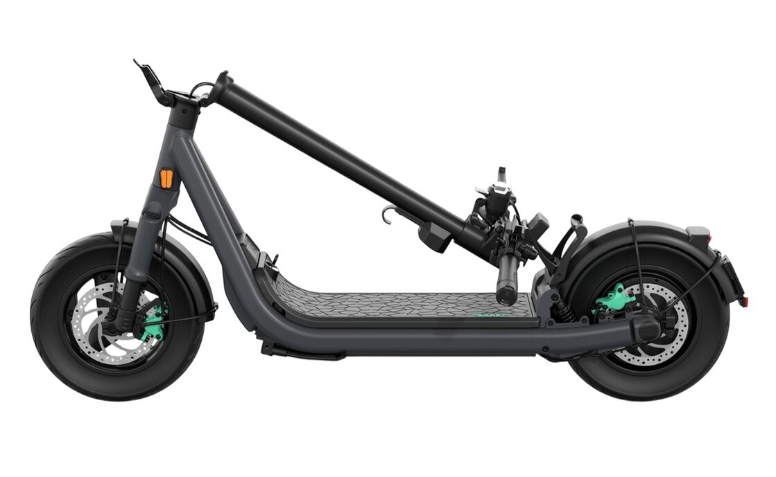 Egret X Ultra - 12,5 Zoll - 2026