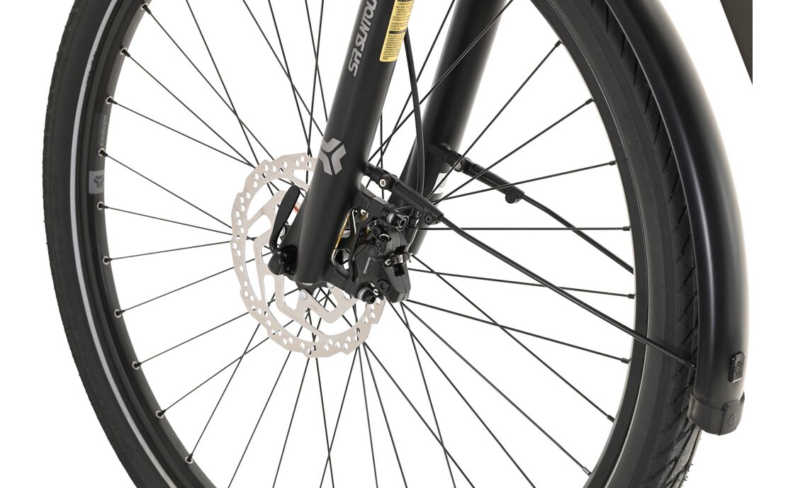 Carver Route E.530 - B-Ware - 625 Wh - 28 Zoll - Diamant