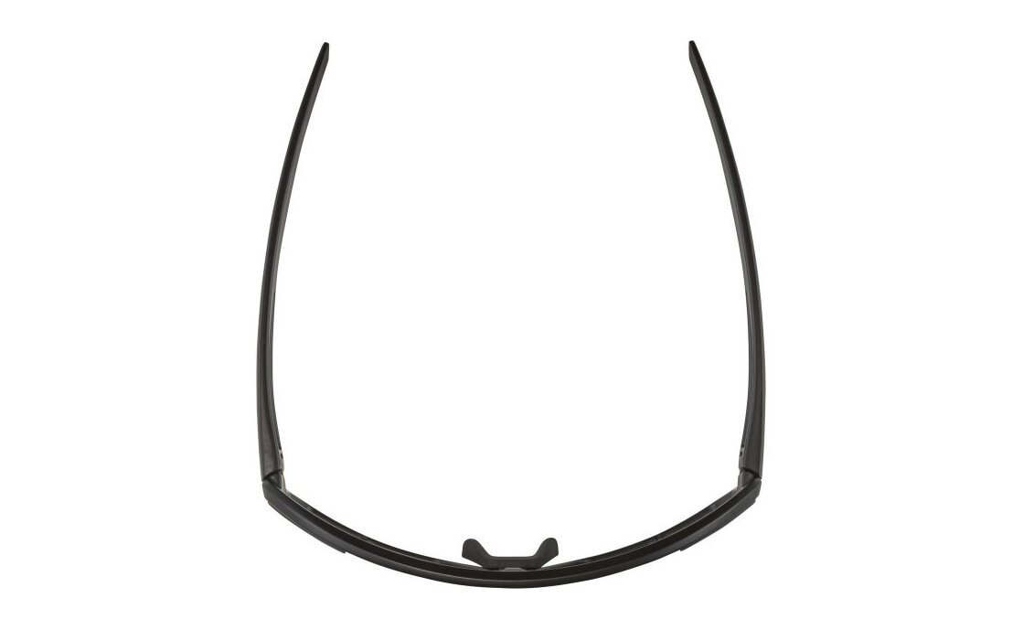 Alpina Bonfire Q-Lite black matt / silver mirror lens