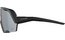 Alpina Rocket Bold Q-Lite black matt / silver mirror lens