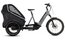 Cube Trike Hybrid Family 750 - 750 Wh - 20 Zoll - Dreirad - 2023