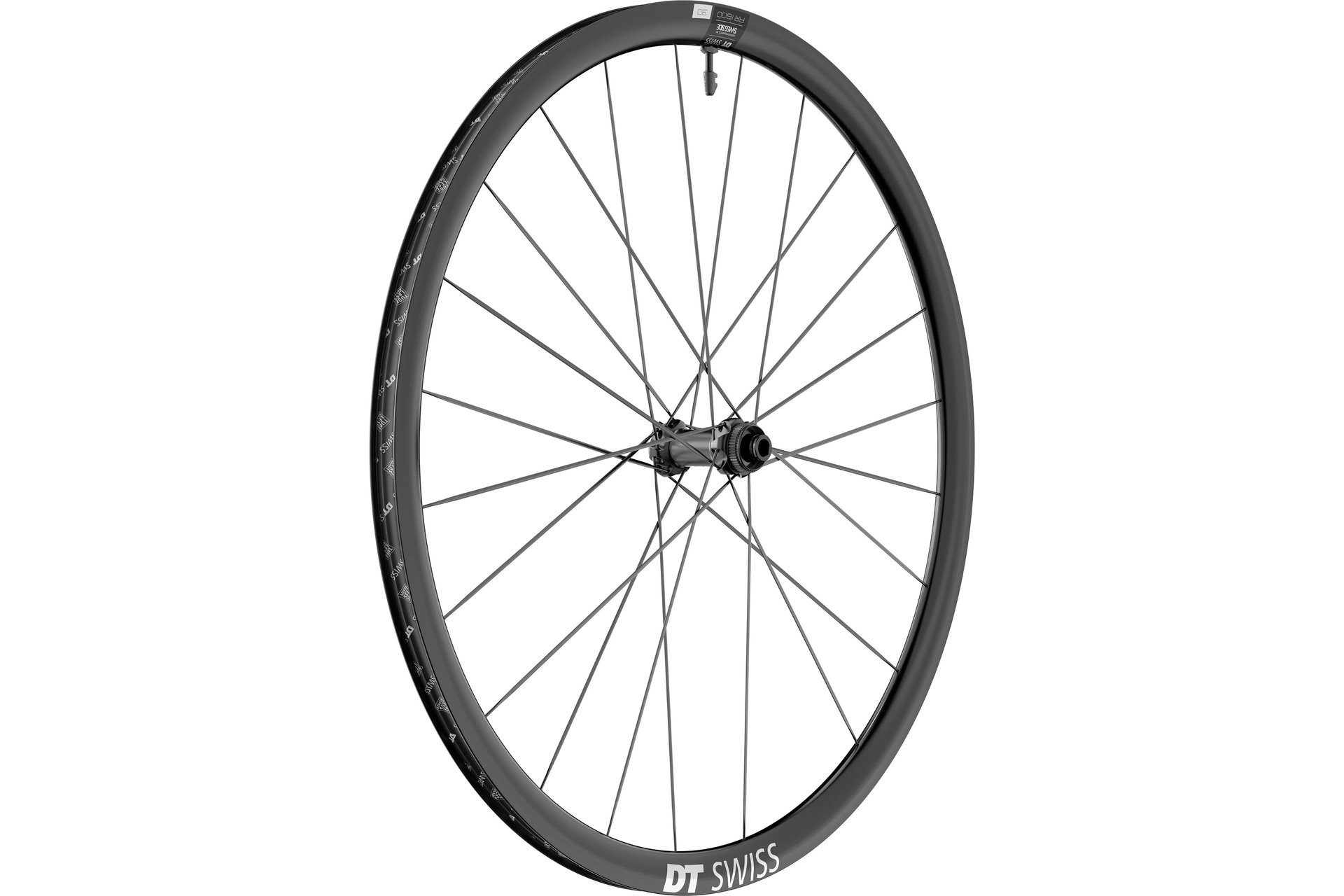 DT Swiss AR 1600 Spline 30 DB 28"- Vorderrad
