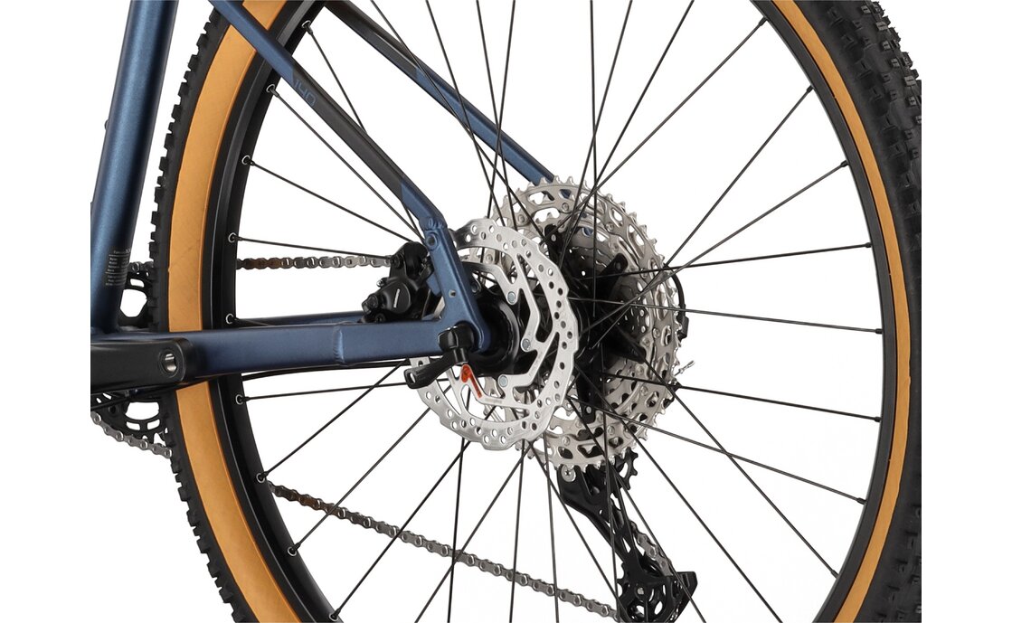 Carver Strict 140 - 29 Zoll - Diamant - 2025