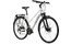 Carver Route 110 - B-Ware - 28 Zoll - Damen Sport - 2024