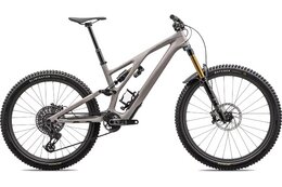 Specialized Stumpjumper Evo Pro - 29 - 27,5 Zoll - Fully - 2025