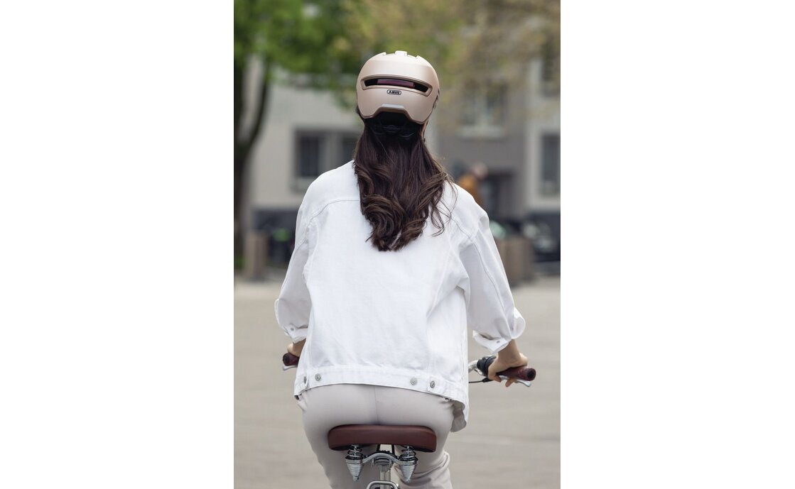 Abus Hud-Y