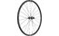 DT Swiss PR 1600 Spline 23 DB, 28"- Hinterrad, Shimano ROAD