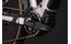 Cube Reaction Hybrid Pro 800 FE - 800 Wh - 29 Zoll - Diamant - 2027